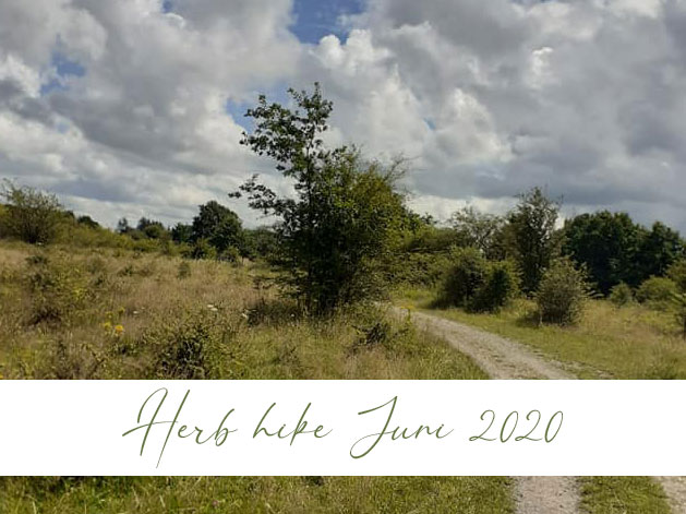 Herb hike Juni 2020