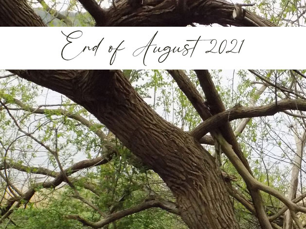 End of August 2021