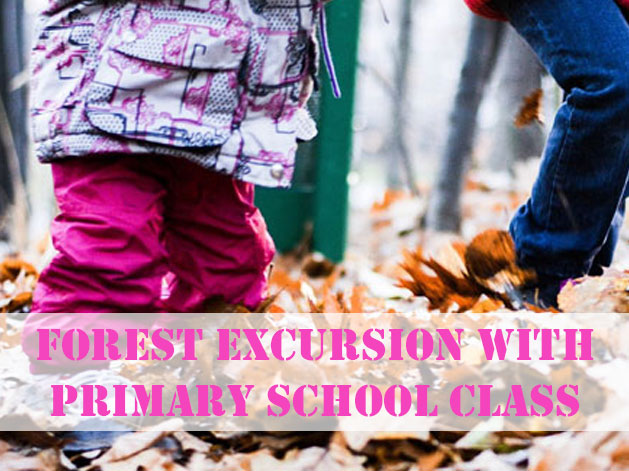 Forest excursion with primary school class