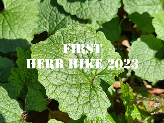 First herb hike 2023
