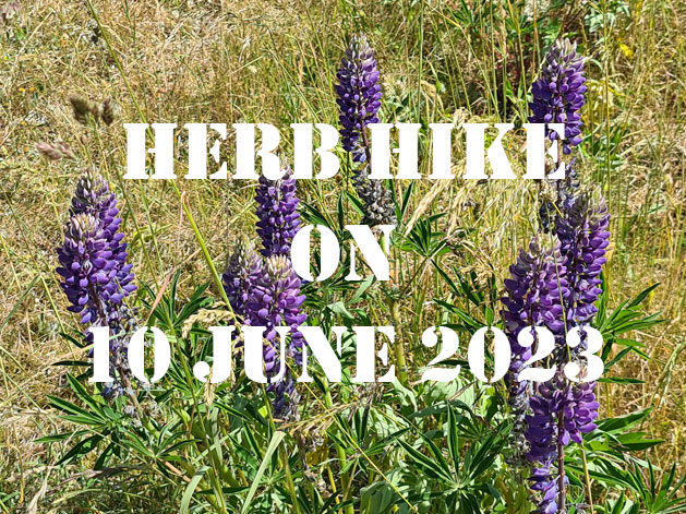 Herb hike on 10 June 2023