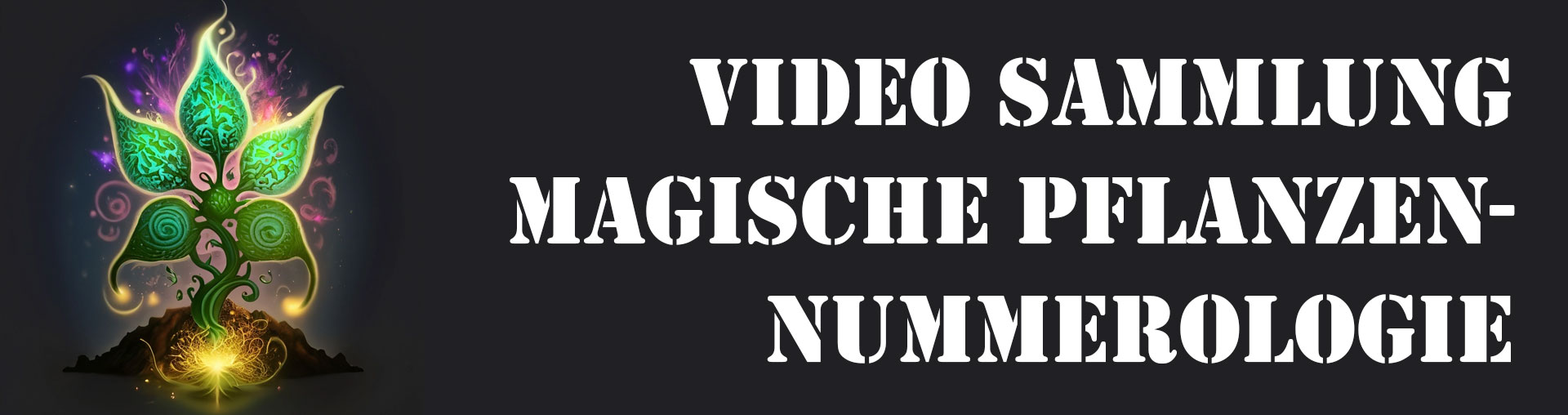 Video Sammlung magische Pflanzen Nummerologie, Spagyrik