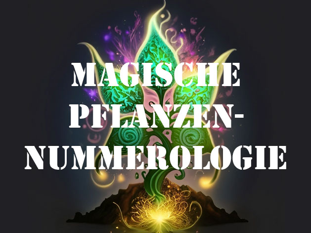 Video collection magical plants numberology, spagyric