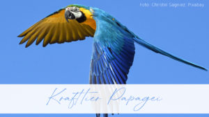 Krafttier Papagei